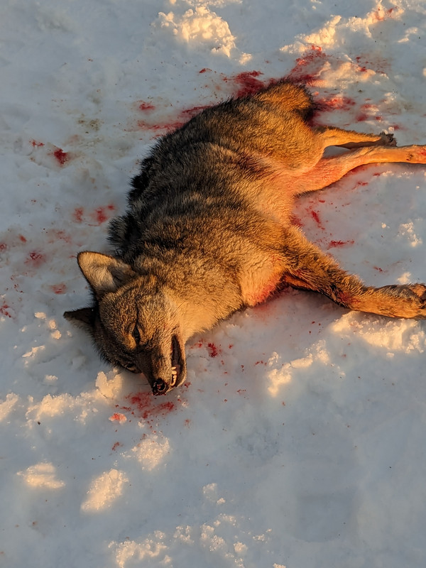 PXL_20240209_212635113