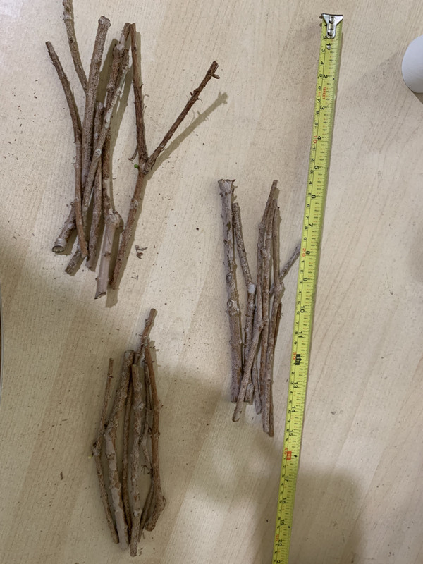 BD6102D8-14E0-45A8-B258-80EA711DF1E1