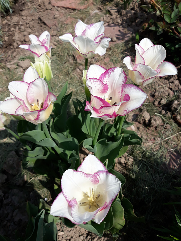 20180414_154216