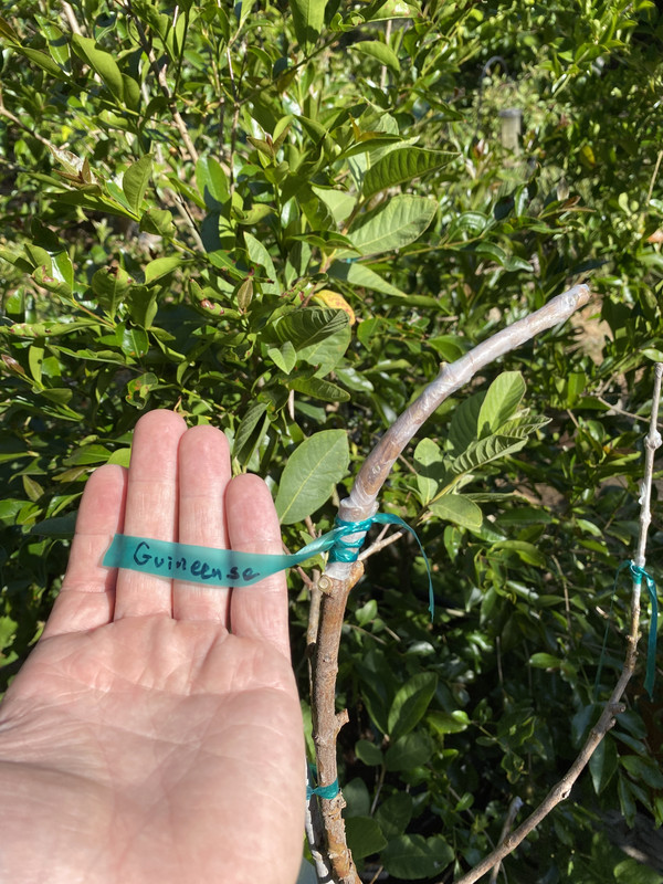 6AD76B7E-564B-4F82-BCCF-75B2289C5348