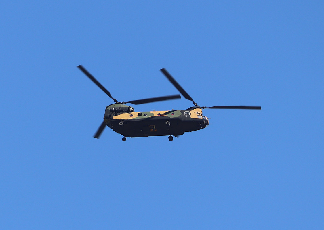 DLM_September22_ (19)