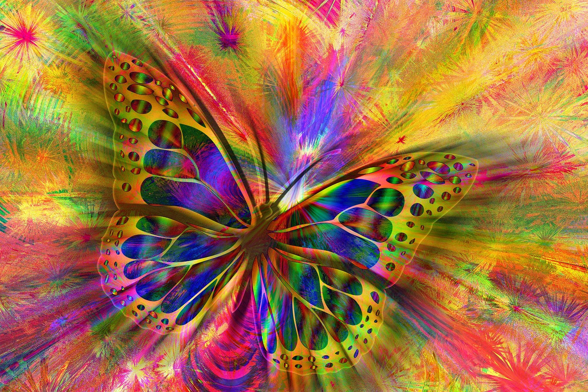 multi-butterfly.jpg