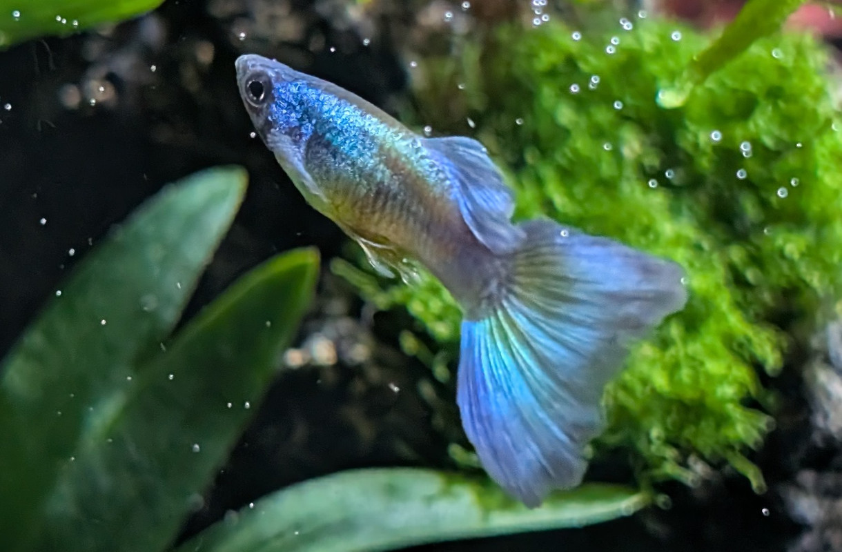 PXL_20250927_144410136.MP