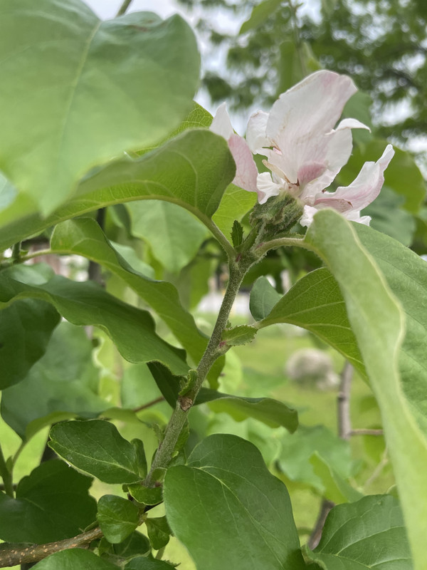 C8B7600A-EE9C-4717-BD47-552A4BBFBF2C