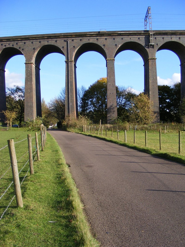 DSCF0591.jpg