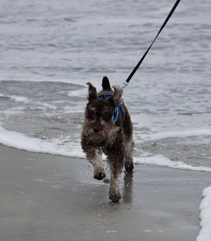 31DBDF2D-6DEF-4613-986C-78512A699467