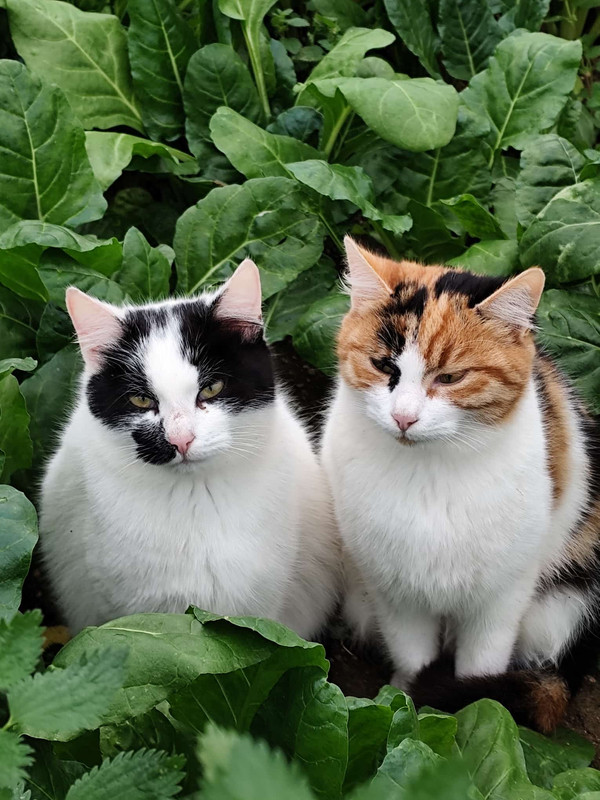 Whats App Image 2026 02 21 at 23 08 19 (1)