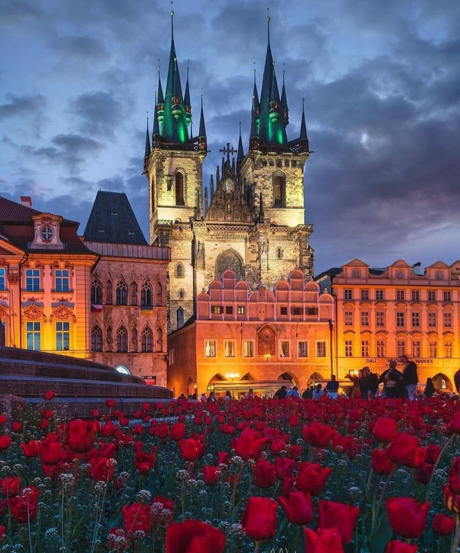 Screenshot_20240426_083804_Threads