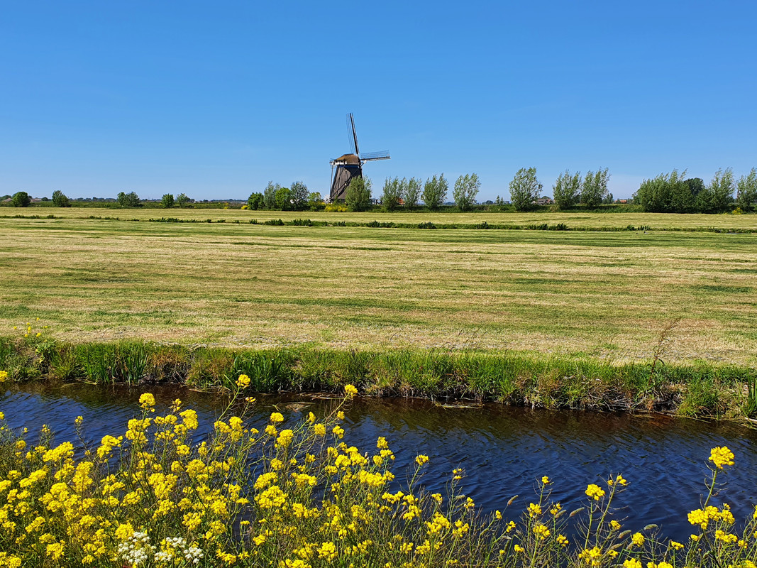 Pieter Zuijkerbuijk, Blauwe Molen 02 Rijpwetering 17-05-2020