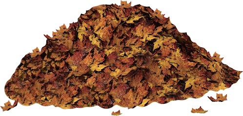 ISmellAutumn-LL-Element18