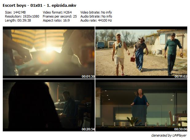 Kluci pro všechno / Escort Boys (2023) /S01/CZ
