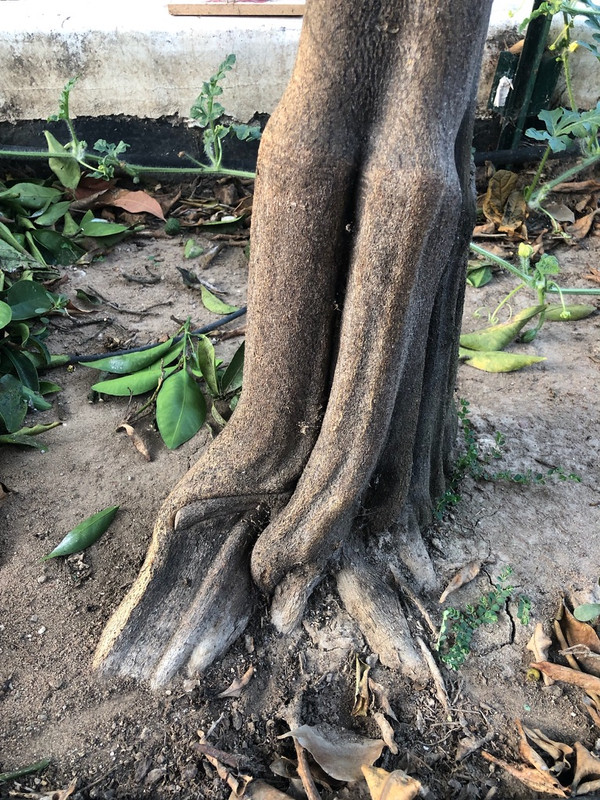 ADD838CE-91FB-4DB2-85C9-BAF083F41019_1_105_c