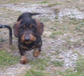 [Image: P1060134.jpg]