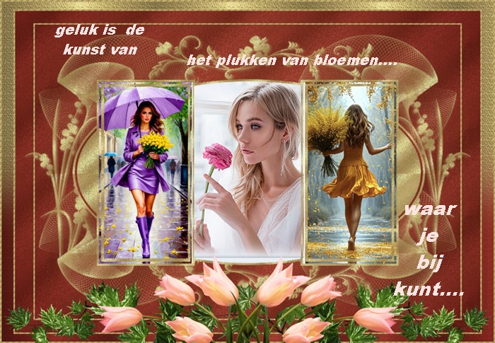 Klik op de afbeelding om de link te volgen