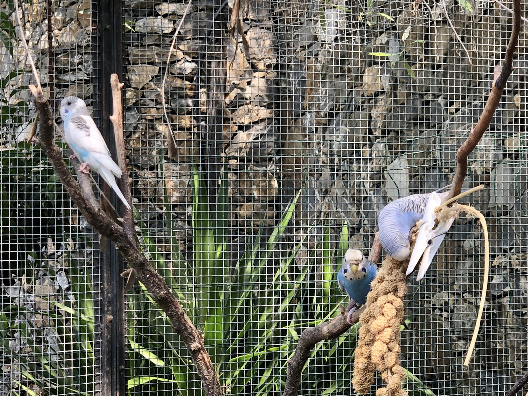 6BE474F7-0C33-4153-92AD-6ACC112290F6