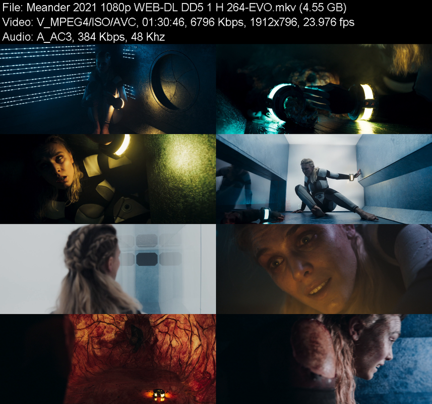 meander-2021-1080p-web-dl-dd5-1-h-264-ev