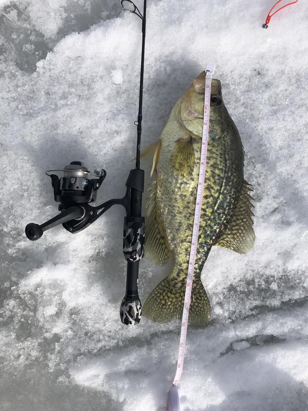 24088A1B-9B2B-4632-A90E-86DDC4D3720E