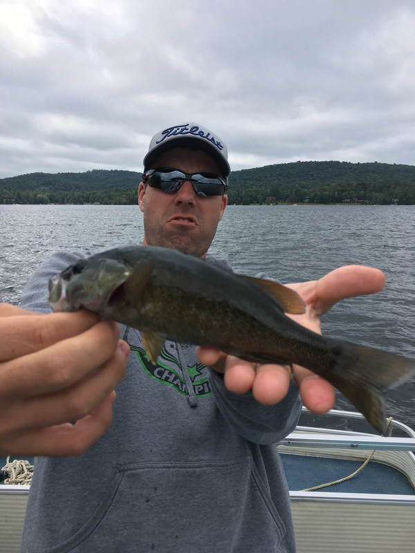 004A3A6D-8563-4046-89A4-5BC762F41F06