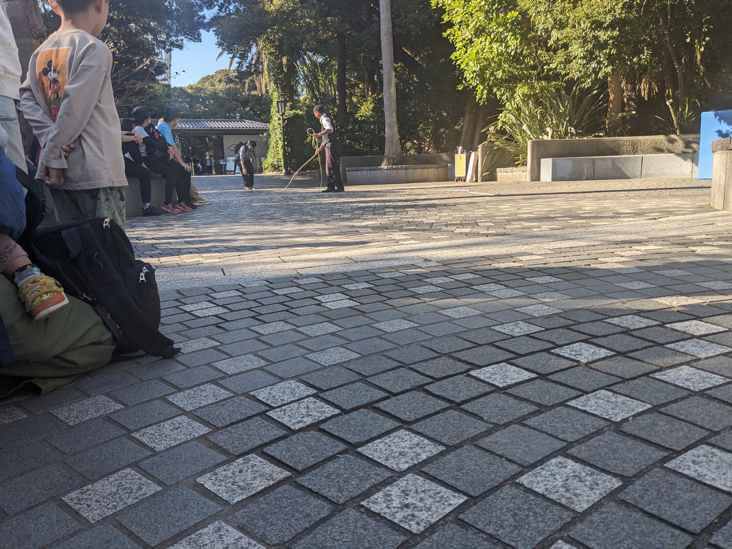 PXL_20231023_053322434