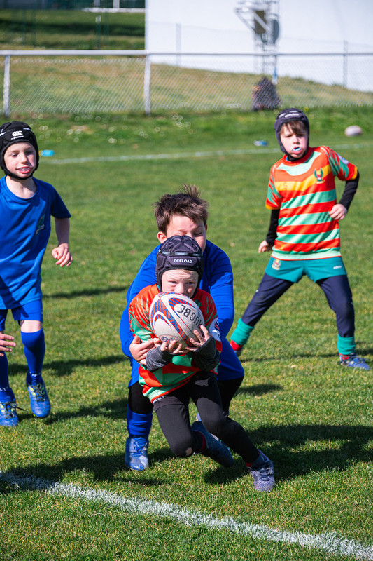 tournoi-de-latlantique-2026-adonis-griffon-169-55180397602-l