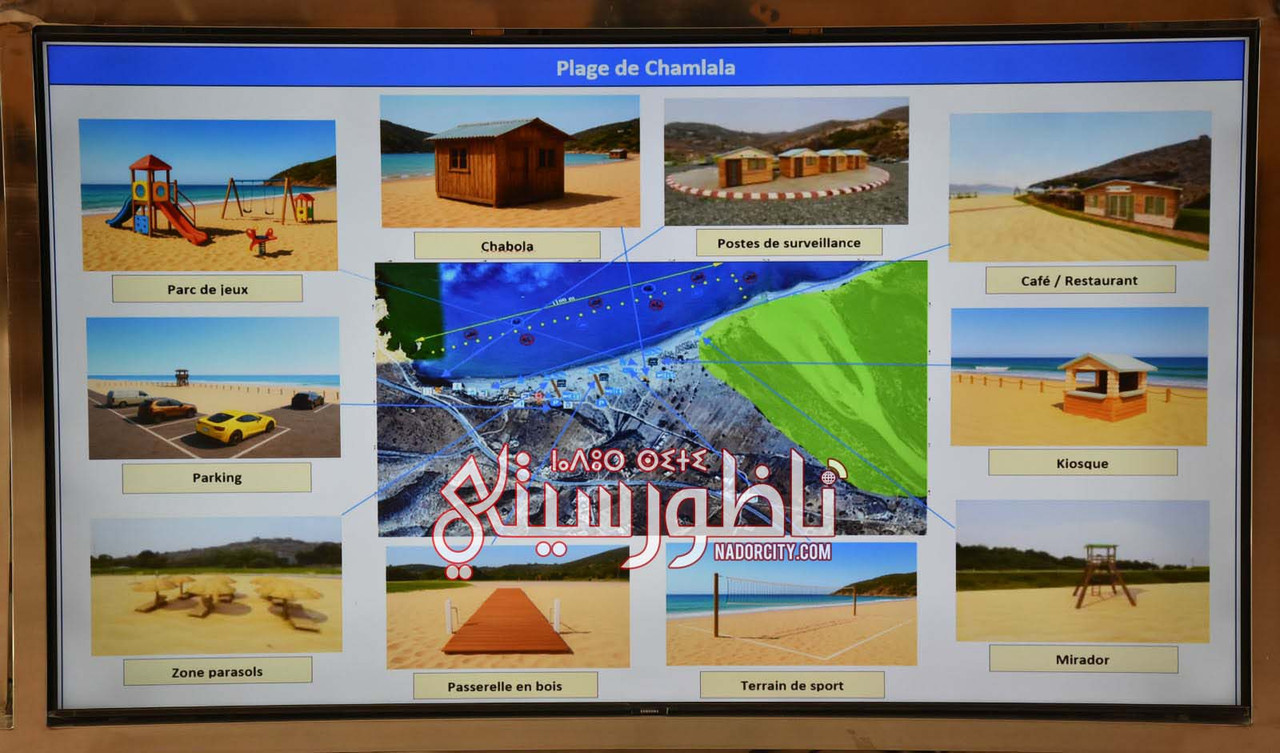 629370010-2017807678832208-8960282475908790450-n