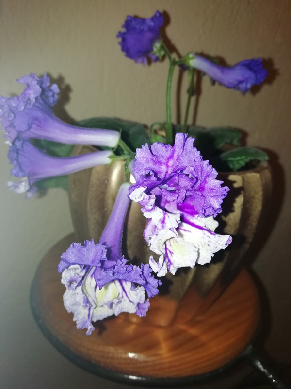 IMG_20191012_005519