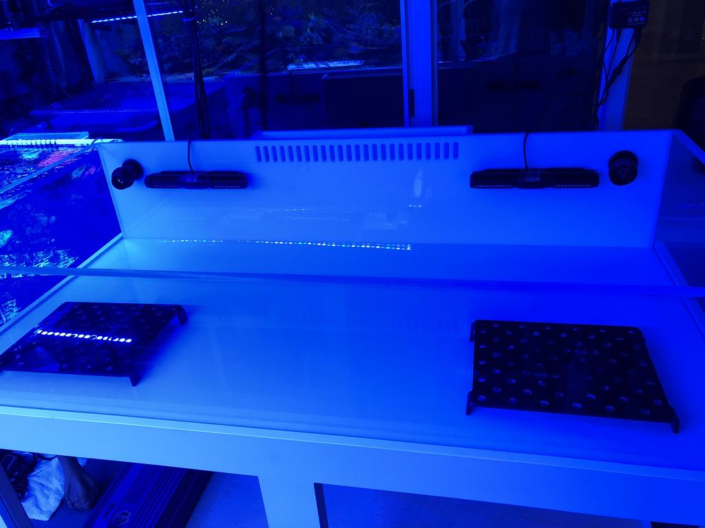 C3FAB10E-D908-4D08-922B-421A5787FEC6