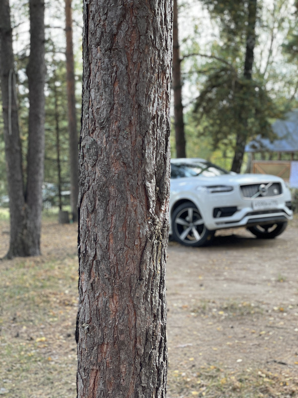 AB95524C-9DAE-4CBE-A07B-726E541DF287