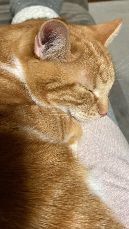 A69998AE-8B58-4257-B85A-9DAC57830BBF