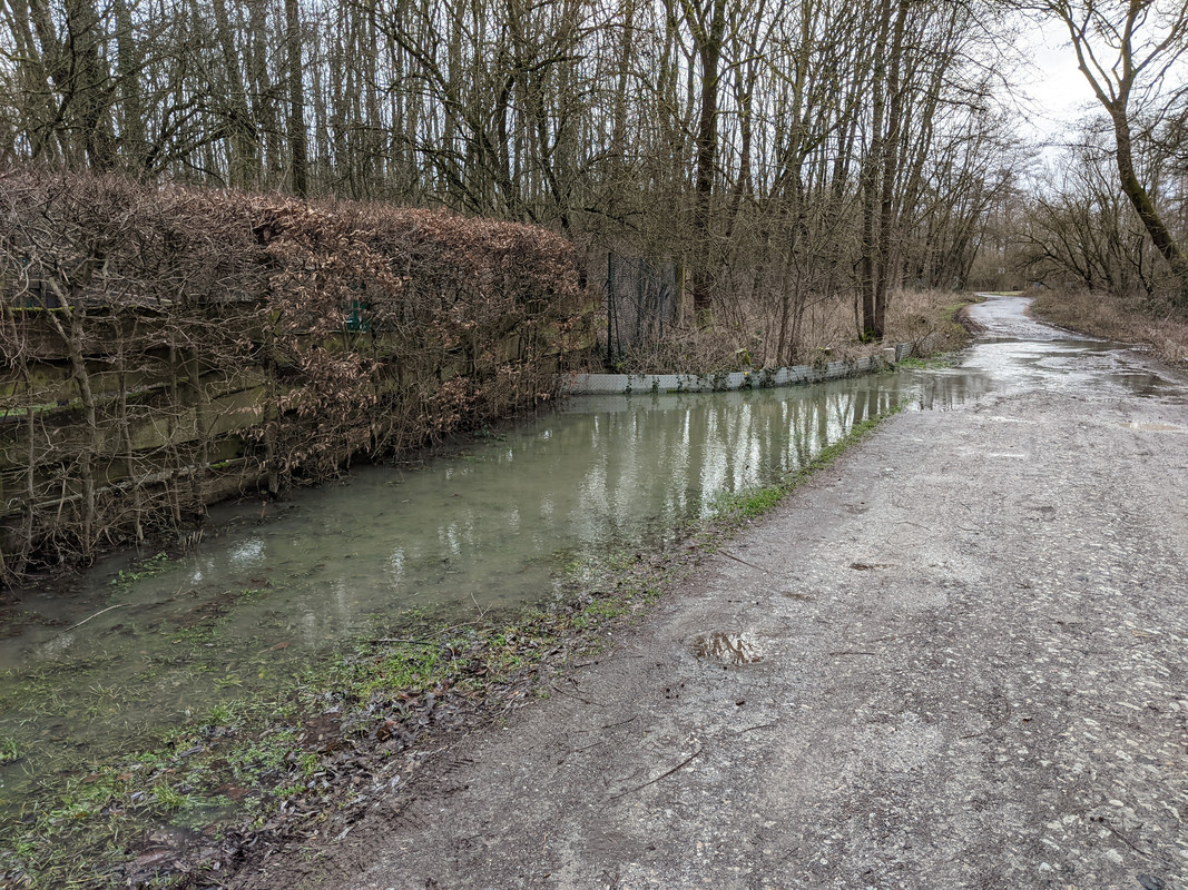 PXL_20210129_122007627