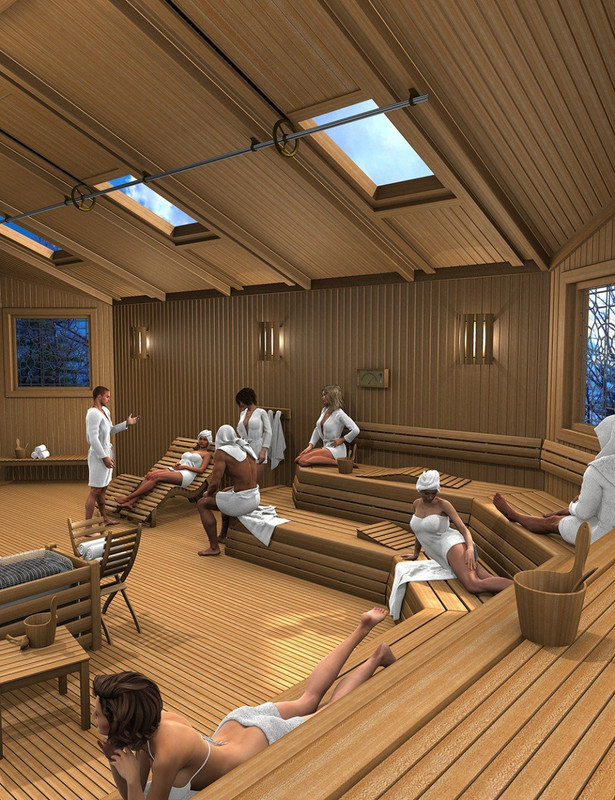 Spa Sauna Spa Sauna