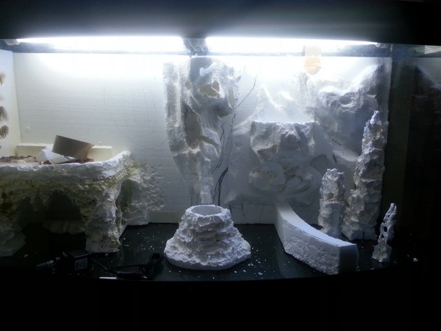 2014-02-26 19.57.30 (Copia)