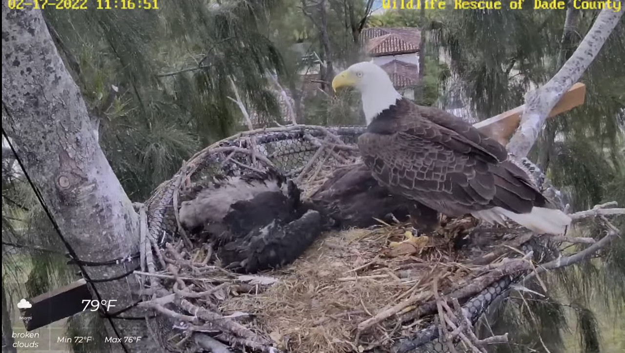 50460F86-8CD4-4887-B2EA-24A5E0991680