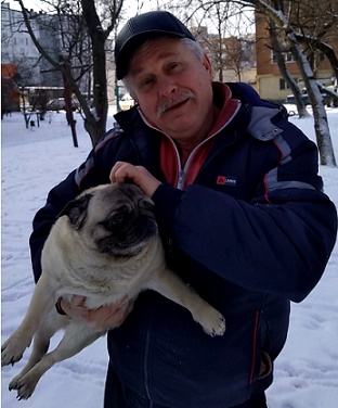 Мопсиха Ася