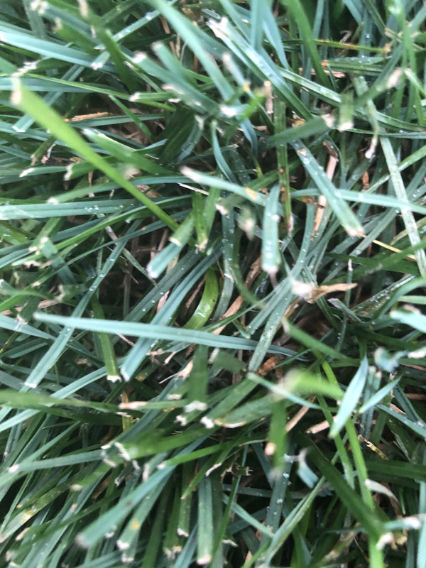 06BFDE96-18F4-43D7-B9C0-82DA4E5F5571