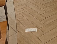 P-20260306-182543.jpg