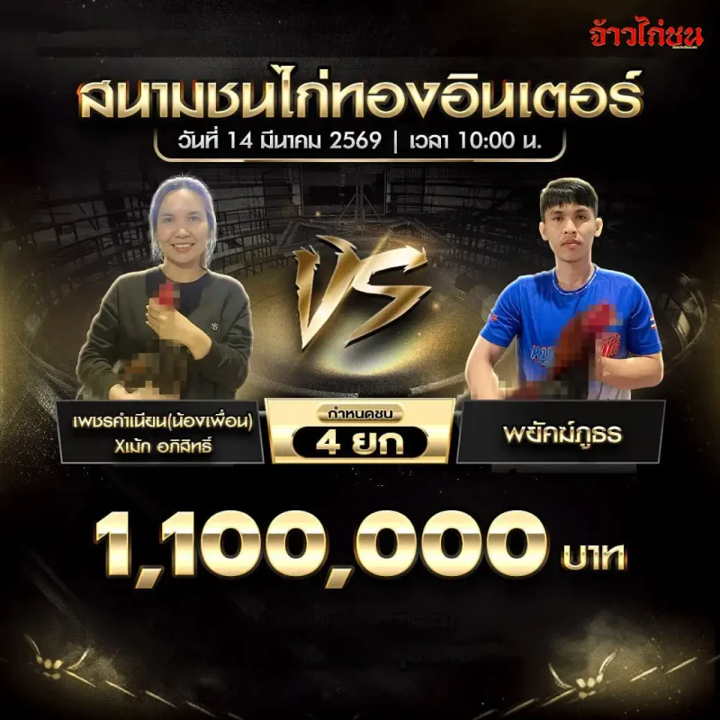 โปรแกรมไก่ชน คู่ เพชรคำเนียนน้องเพื่อน เม้ก อภิสิทธิ์ พบ พยัคฆ์ภูธร สนามชนไก่ทองอินเตอร์ 14 มีนาคม 2569