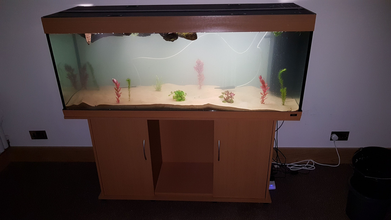 Def Light Blinking But Tank Is Full