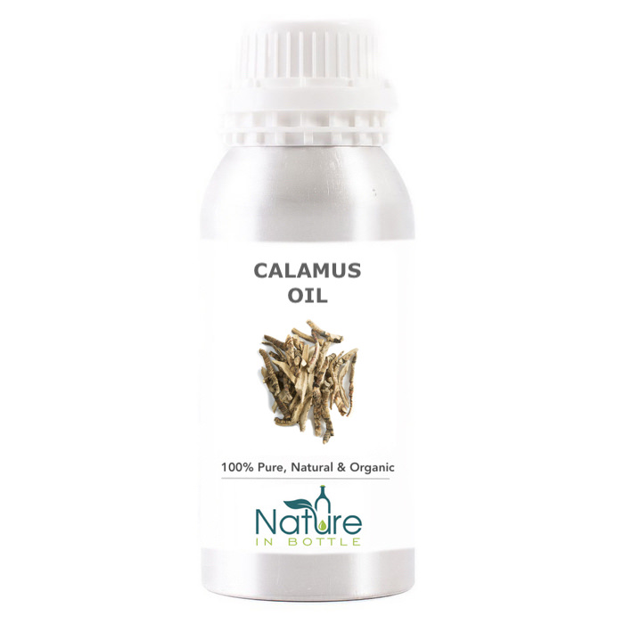 Calamus Essential Oil Organic AcorusÂ CalamusÂ Root India
