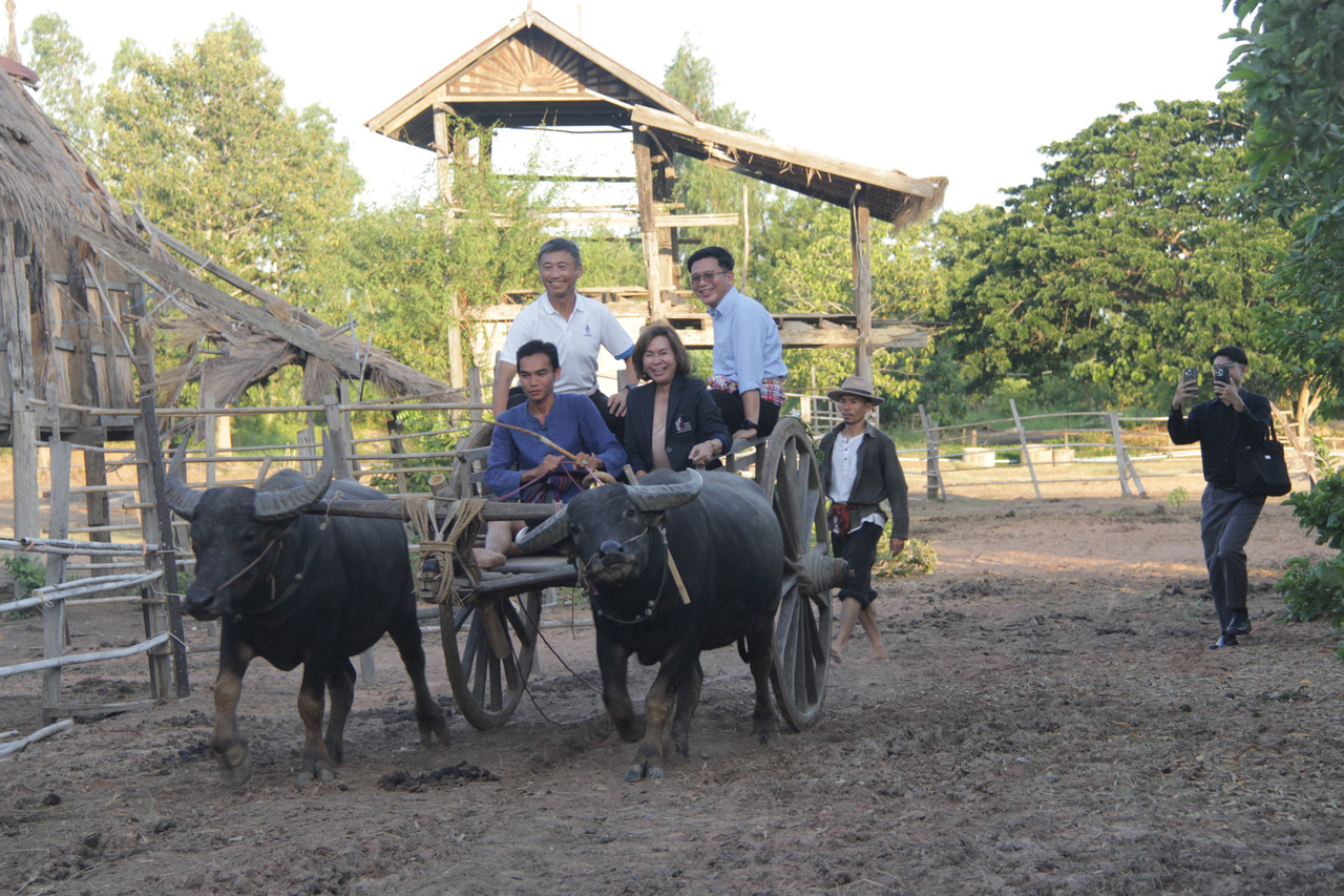 IMG-0220