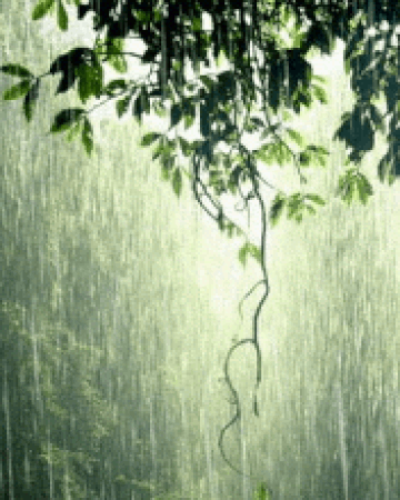 raining-turning-green