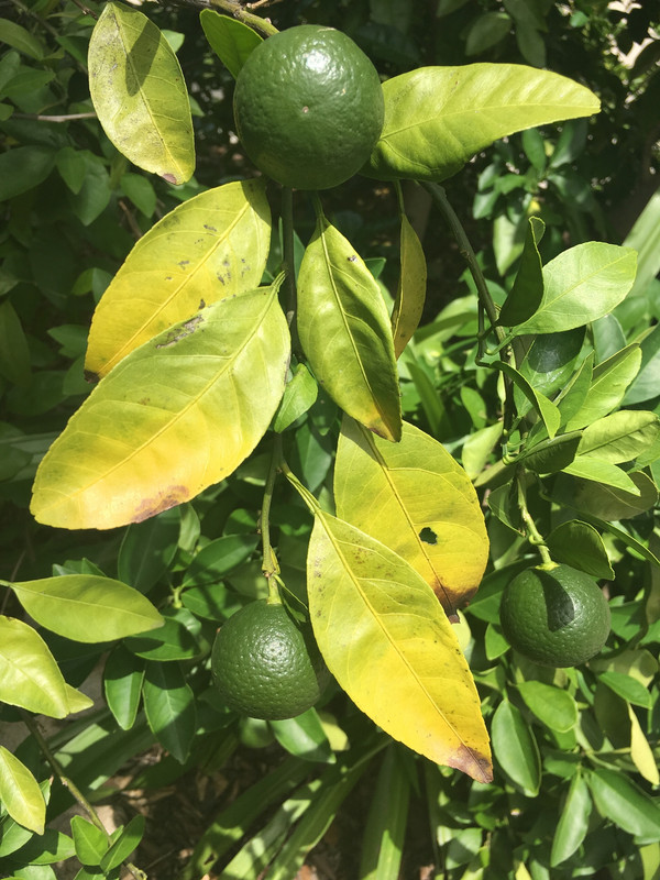 AE950F67-48C8-4BFB-898F-57586BADBDC9