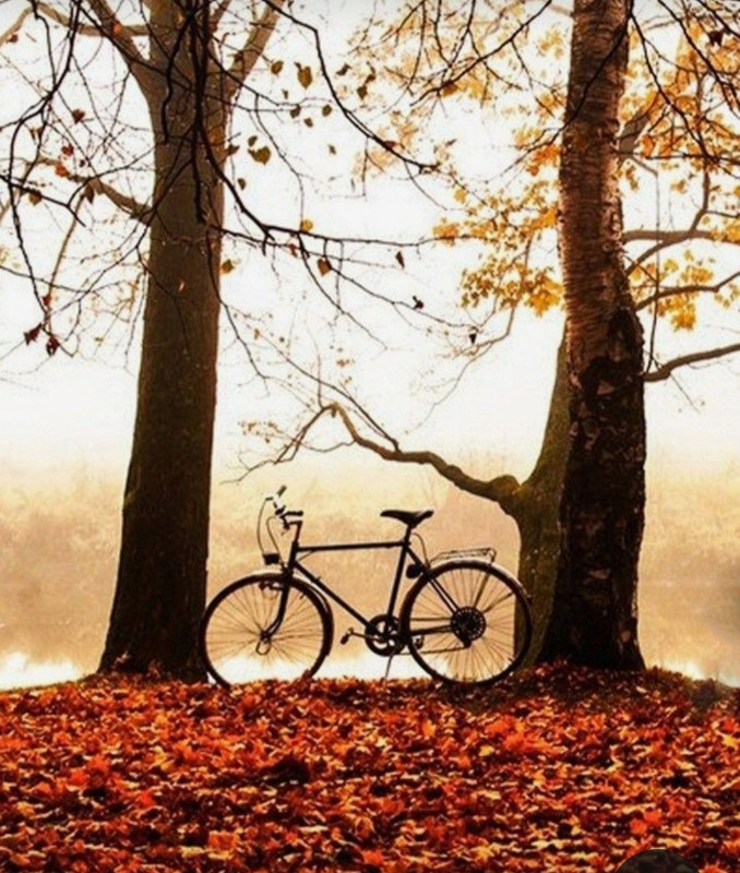 Screenshot_20231127_220534_Pinterest