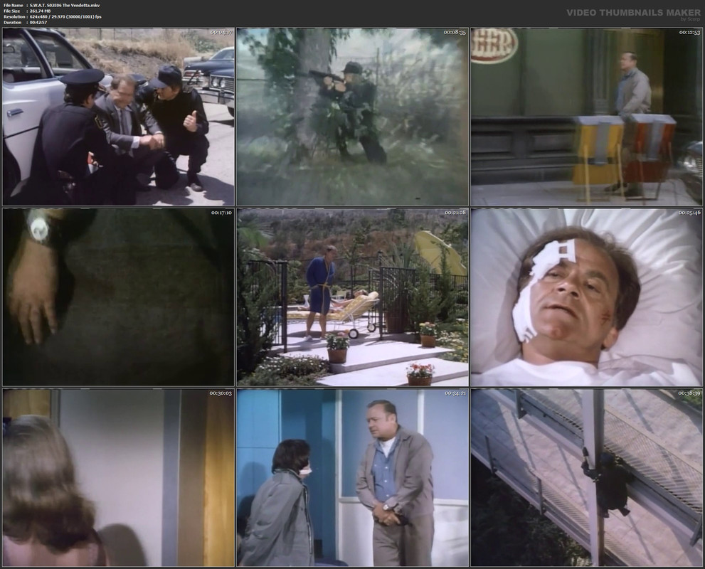 S.W.A.T. S02E06 The Vendetta.mkv