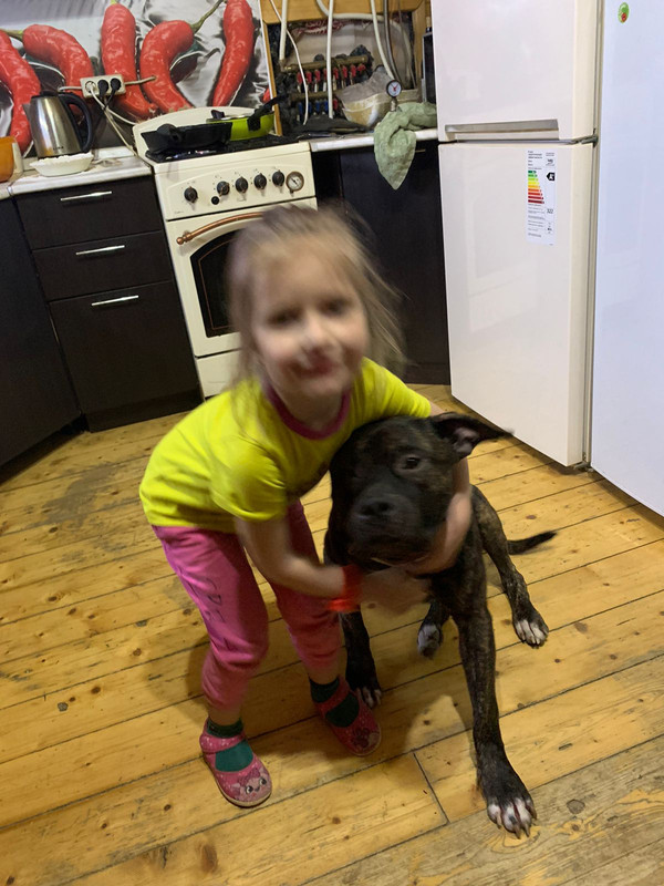 706147EF-6DF2-4ADC-991E-401587EC0337