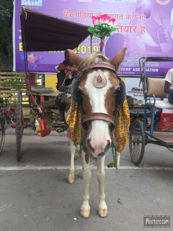 BBG&B12AStrollToSujataTempleB - 8