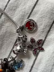 Customer review photo 12