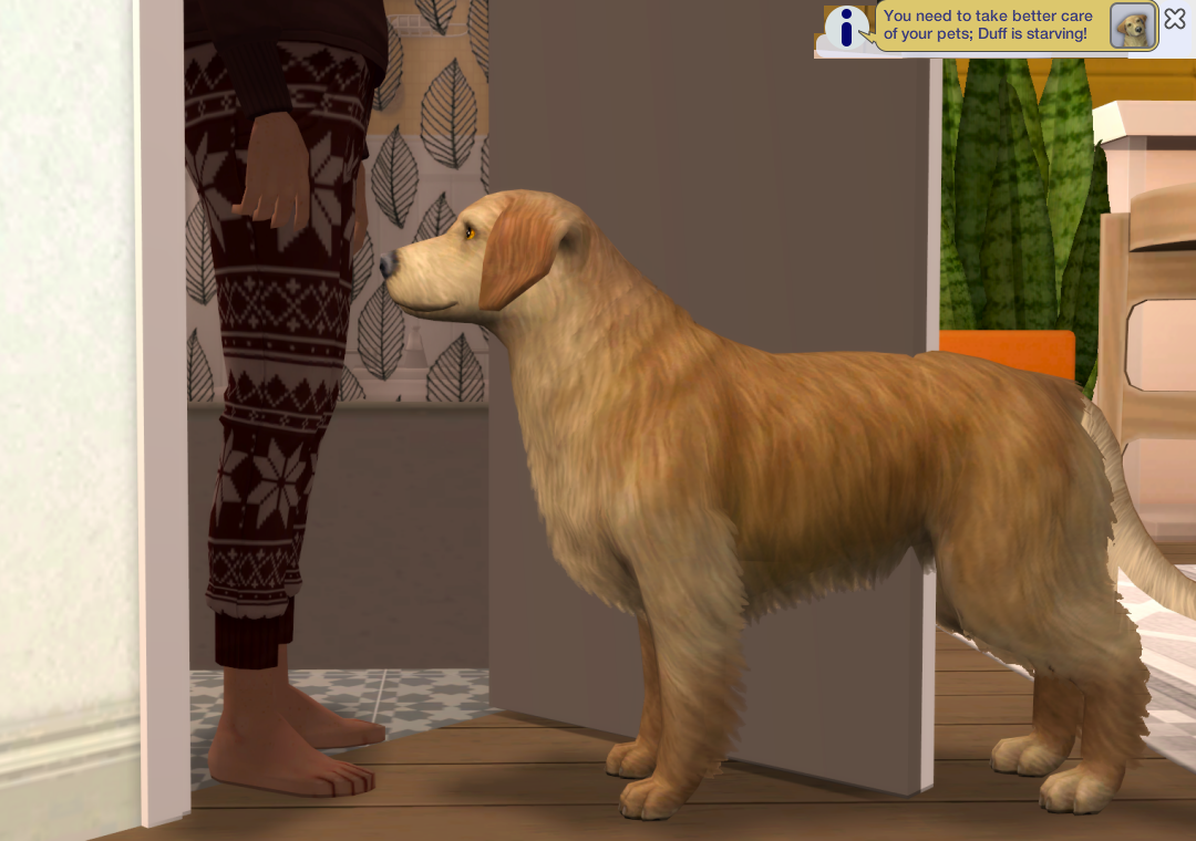 Sims2-EP9-RPC-2023-03-13-16-12-27-54