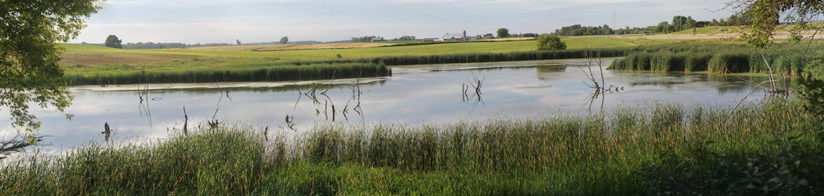 Pond-with-farm-buildings-in-the-distance-sunny-day-web.jpg