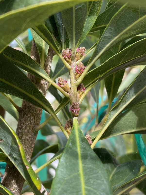 2F276B21-C289-446A-920B-2BE437BAEF35